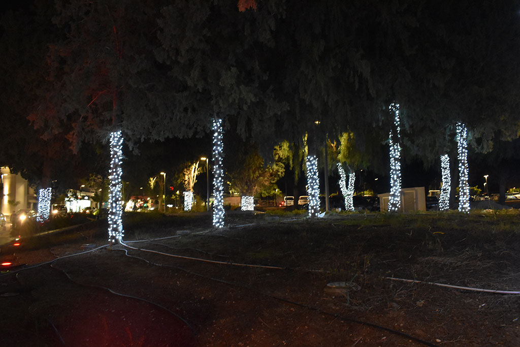 Paphos-switch-on 08 paphos-switch-on_08