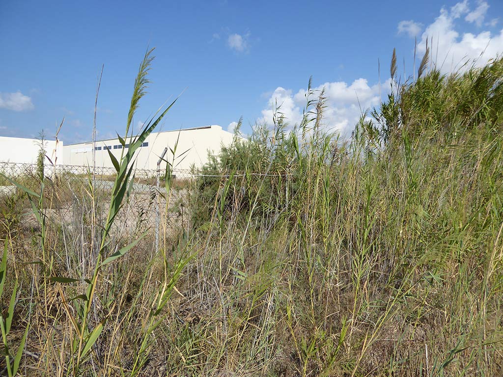 paphos_desalination_plant_11