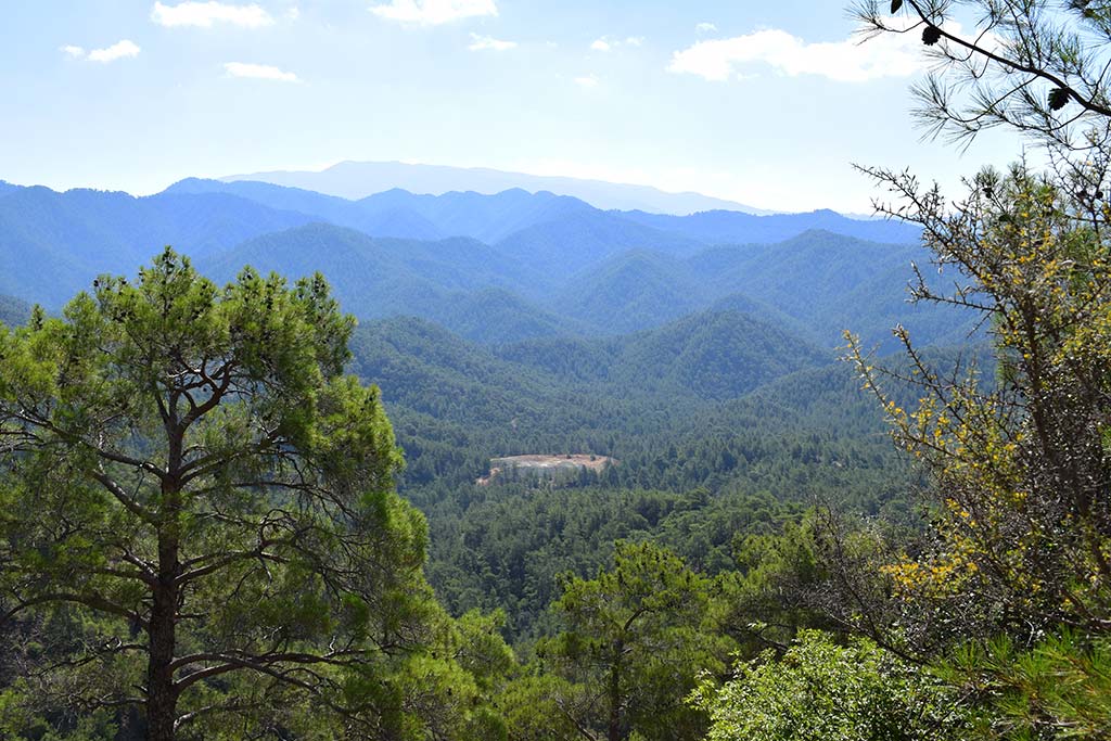 paphos_forest_mine_01