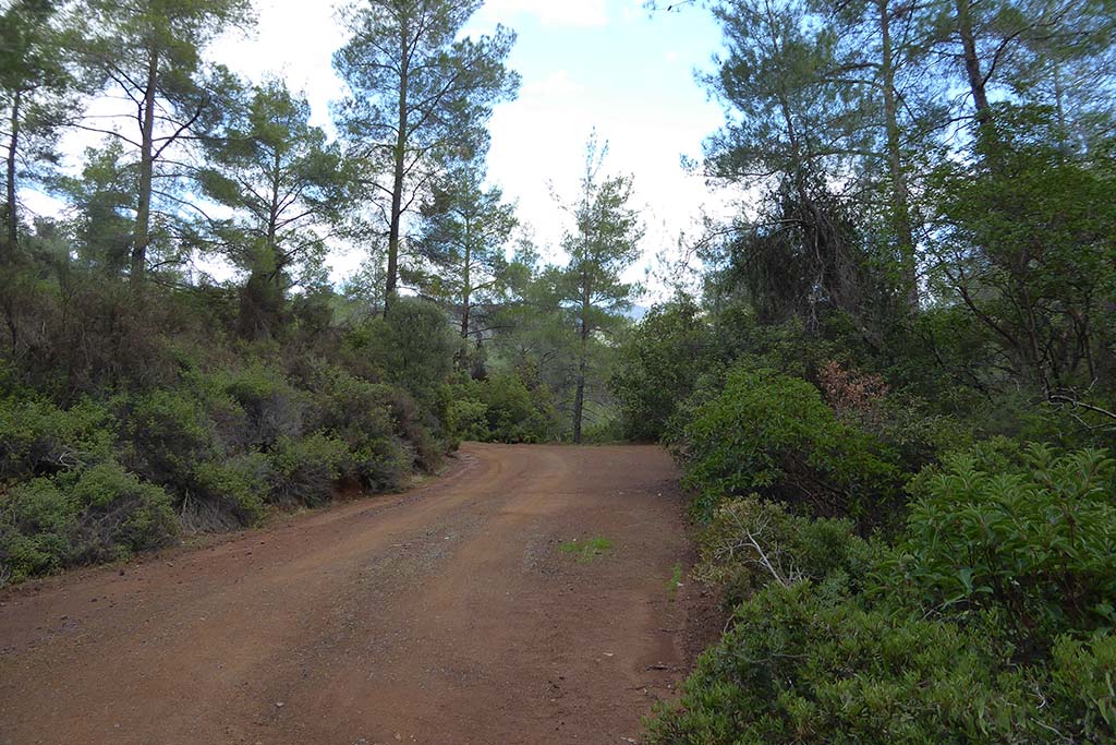 paphos_forest_mine_02