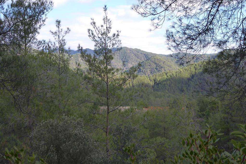 Paphos Forest Mine 03 paphos_forest_mine_03