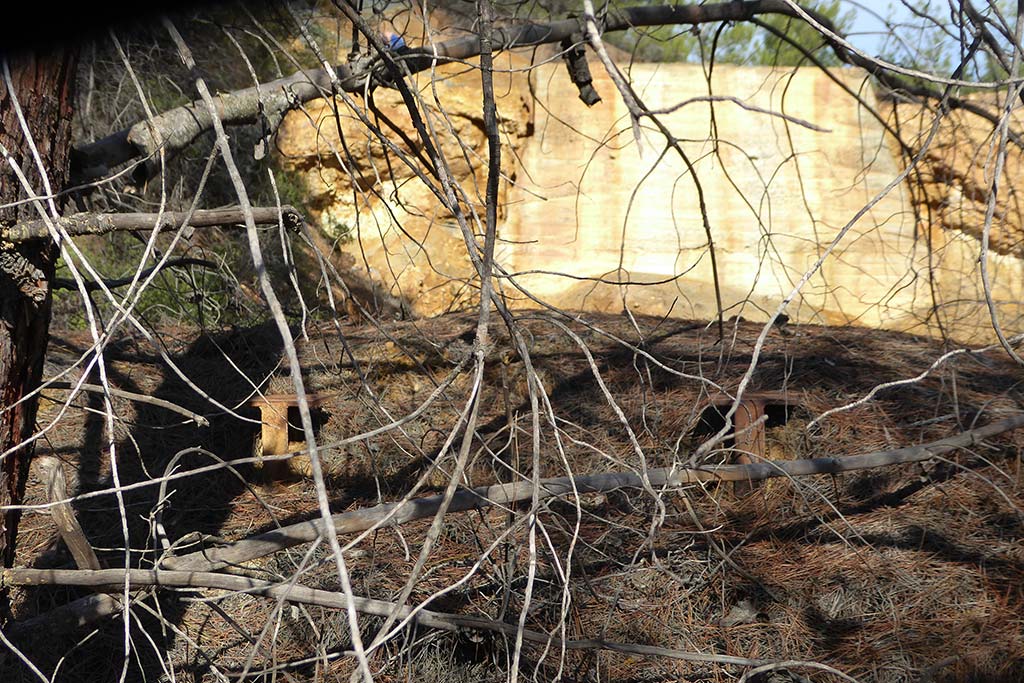 paphos_forest_mine_24