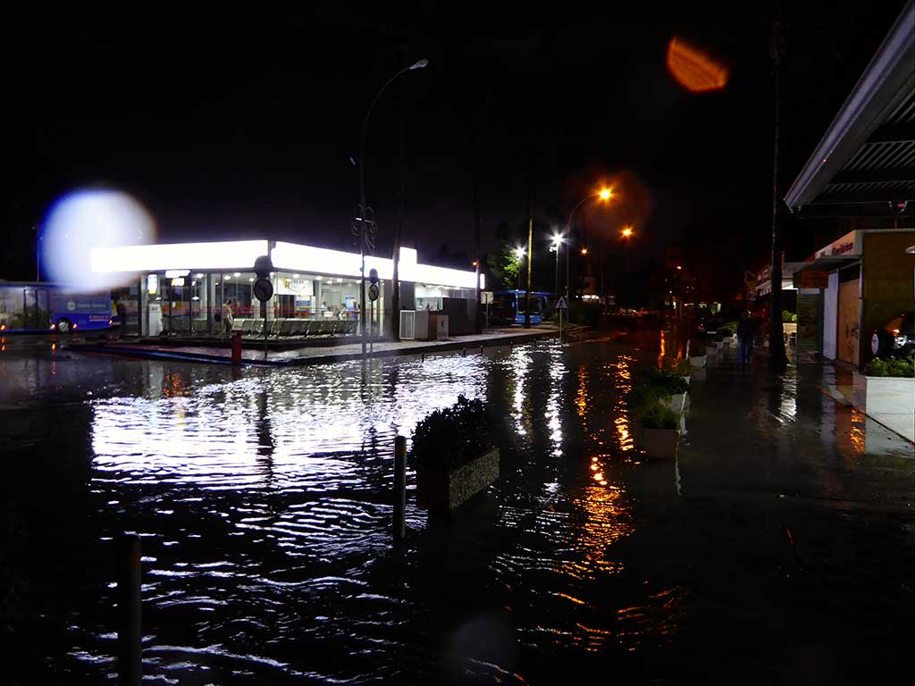 the_bus_shelter