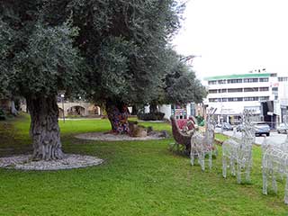 The Patchwork Tree in Ivis Maliotou Park