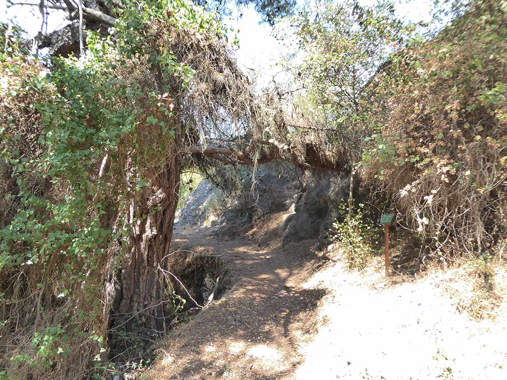 Roudia Bridge 15 Through Arch roudia_bridge_15_through_arch