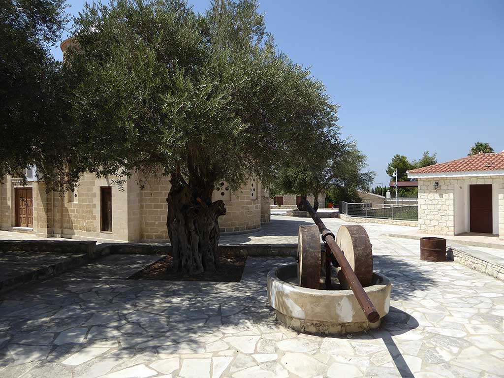 Simou 08 Olive Press simou_08_olive_press