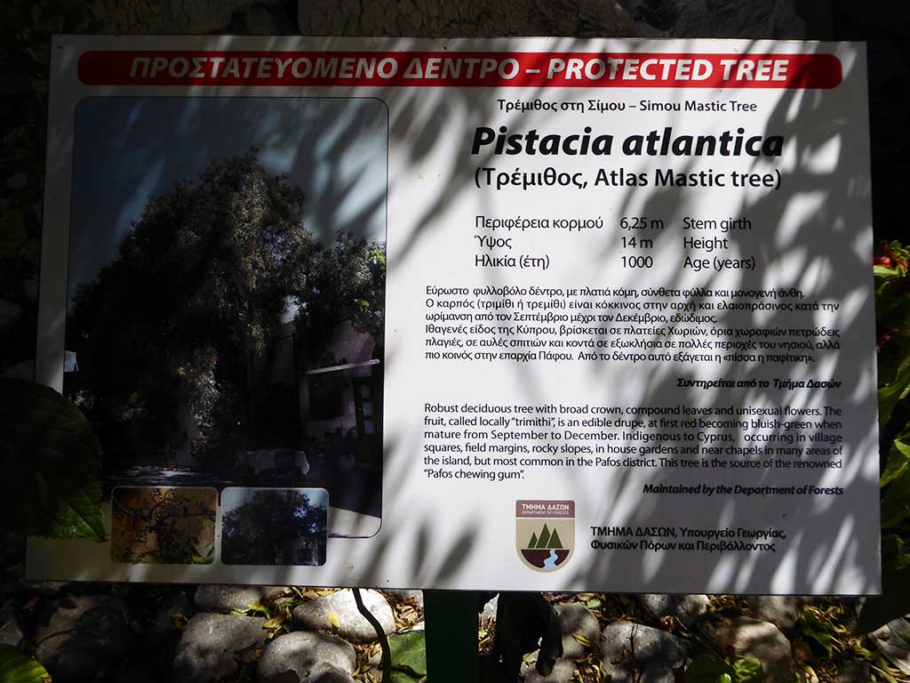 Simou 17 Mastic Information Sign simou_17_mastic_information_sign