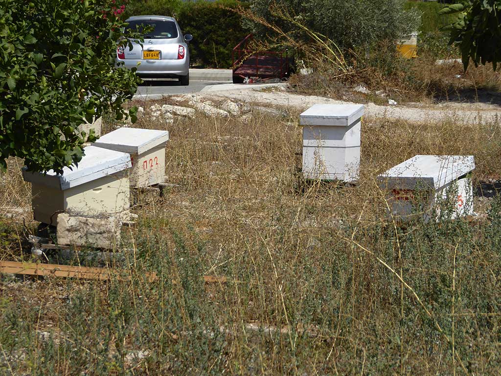 Simou 28 Beehives simou_28_beehives