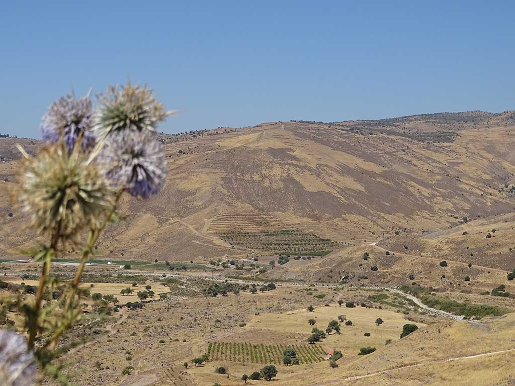 sinti_monastery_09_017