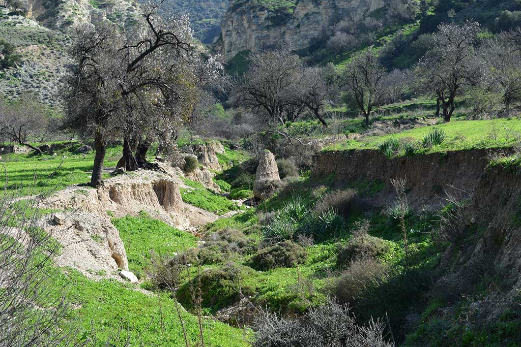 Souskiou 34 souskiou_34