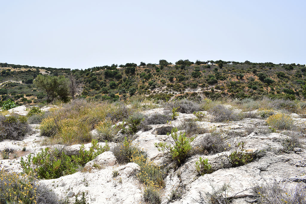 souskiou_cemetery_02