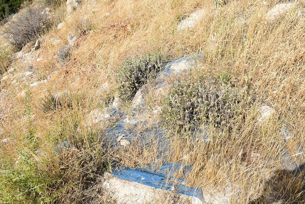 Souskiou Cemetery 36 souskiou_cemetery_36