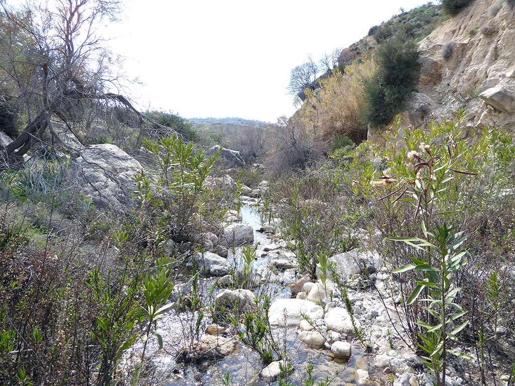 02_in_the_stream