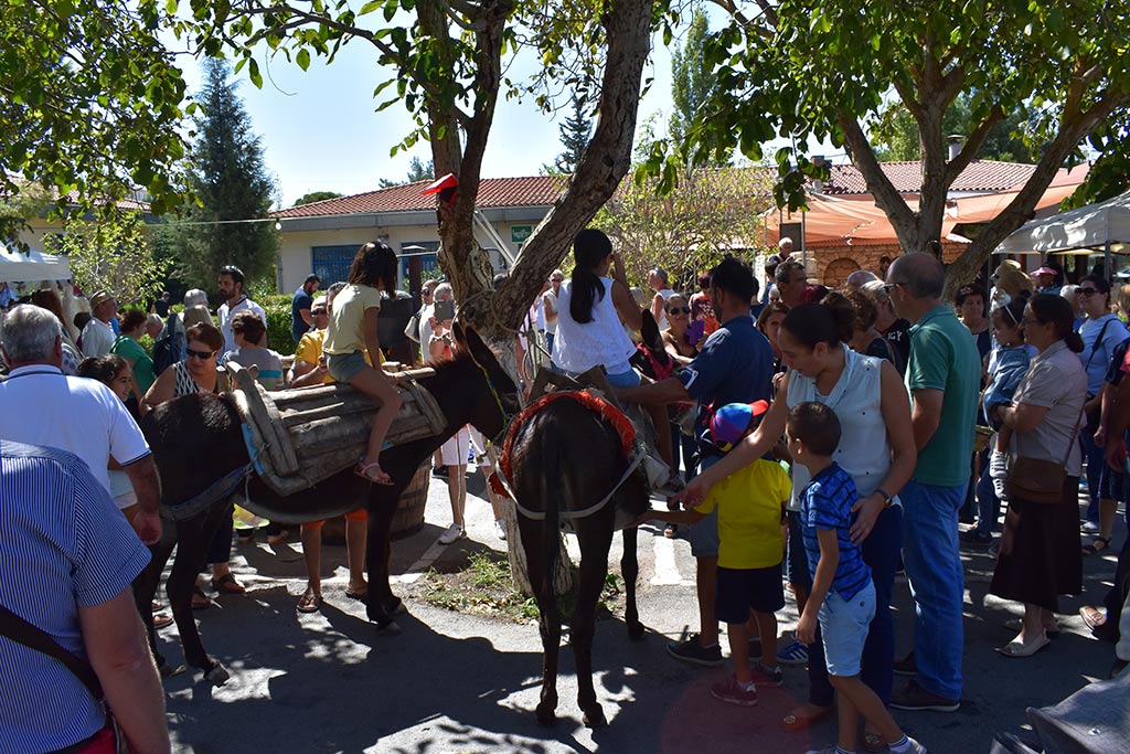 statos_agios_photios_festival_07