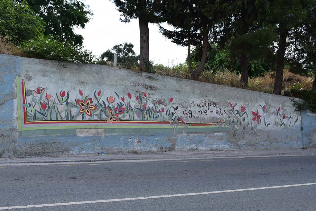 stroumpi_murals_01