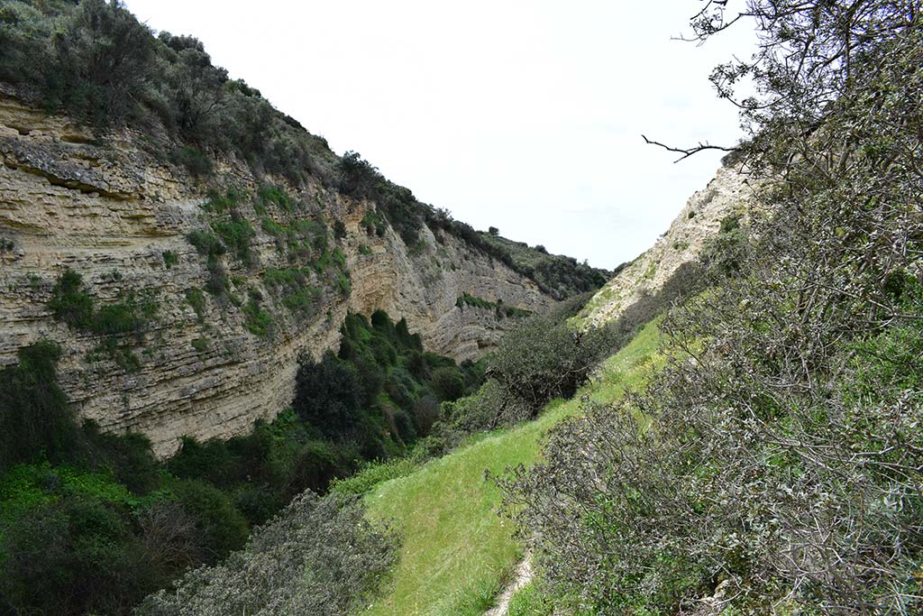 The Enclosure Of Agios Neophytos 20 the_enclosure_of_agios_neophytos_20