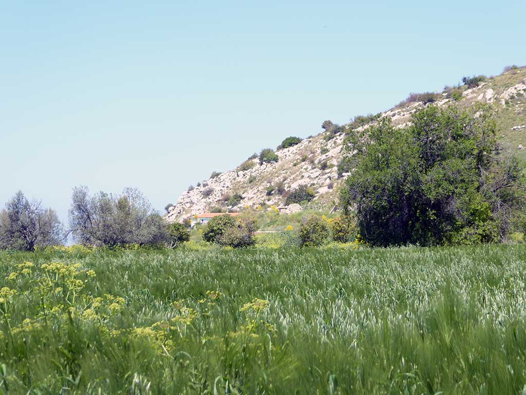 21 Away From Village 21_away_from_village