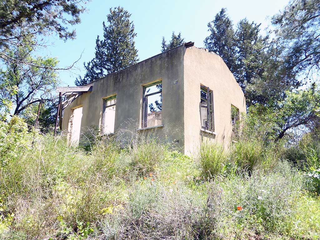 25 Posh House 25_posh_house