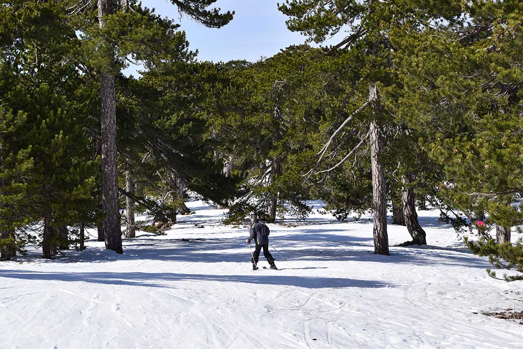 troodos_skiing_10