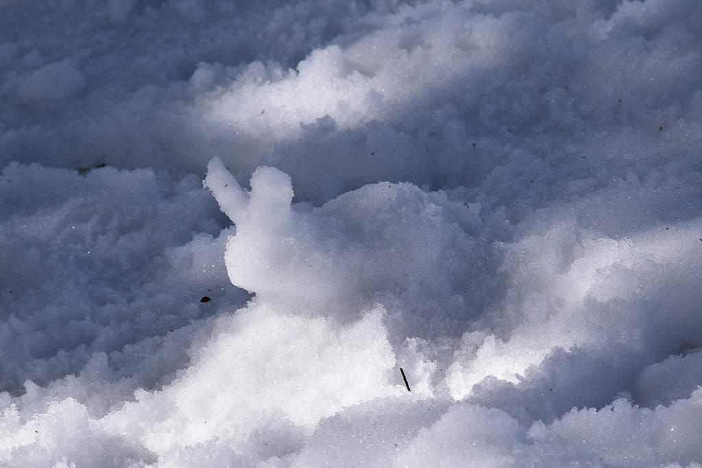 troodos_skiing_13