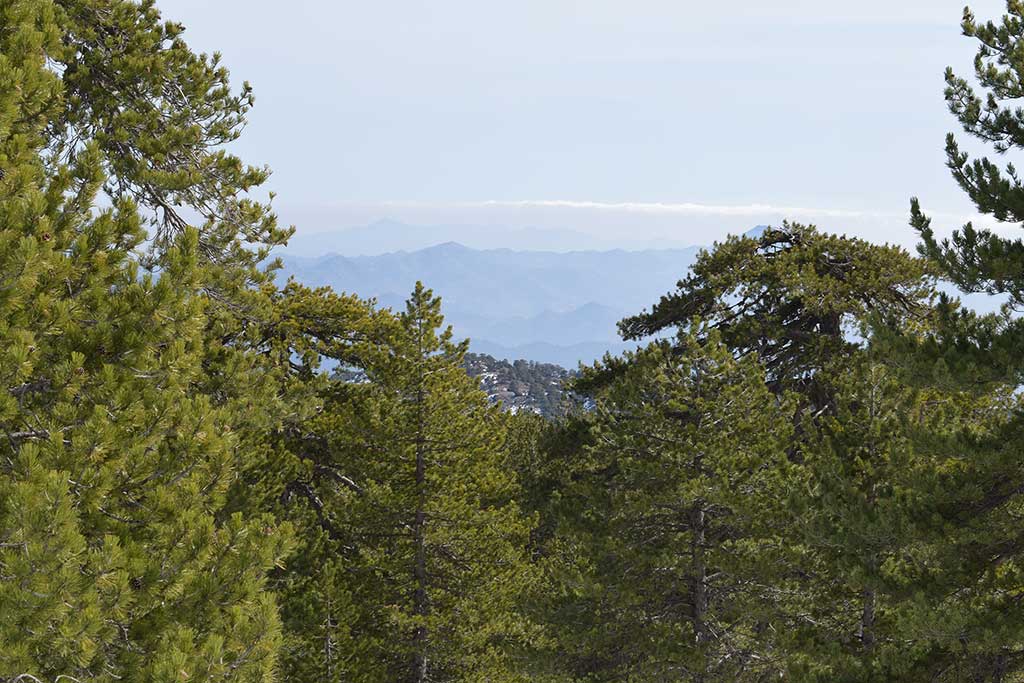 troodos_skiing_14