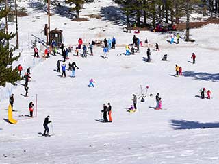 Snow Fun In The Troodos