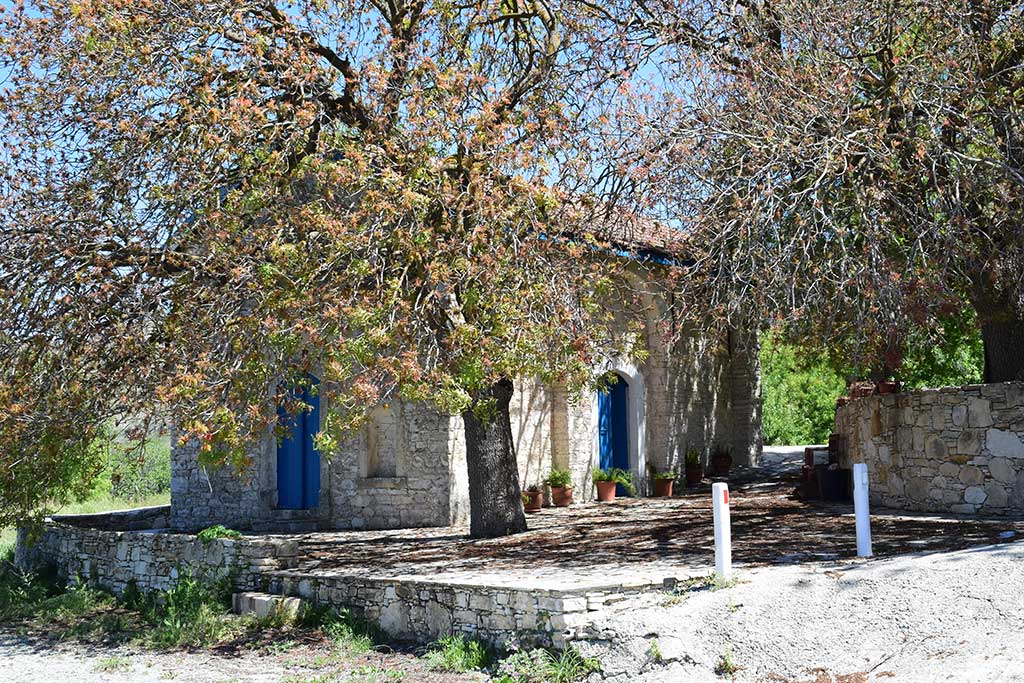 Trozena 02 trozena_02