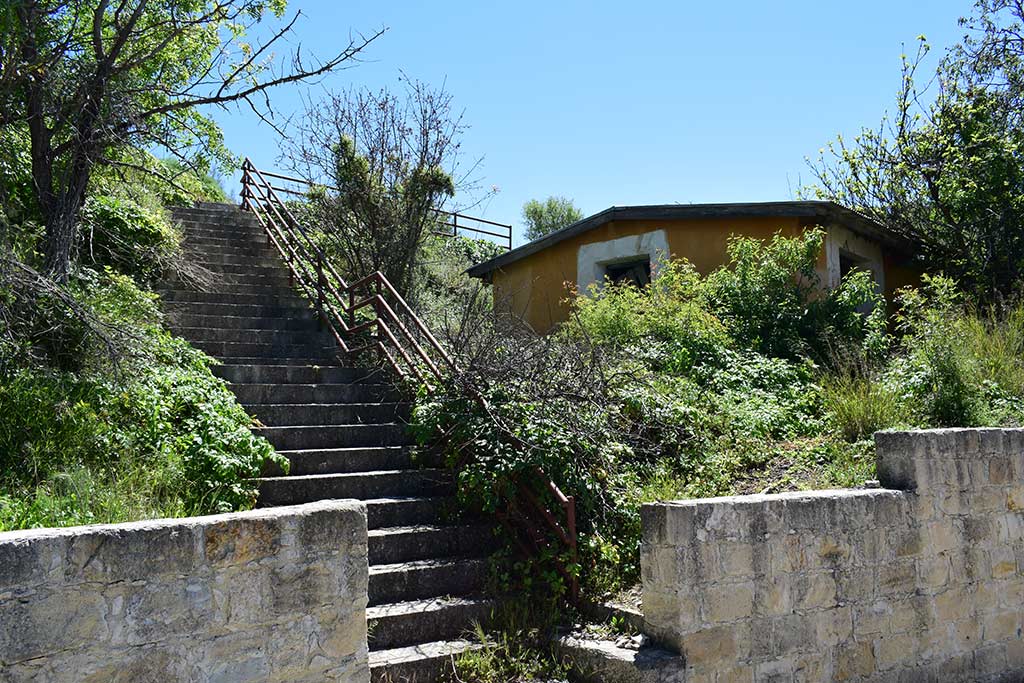 trozena_11