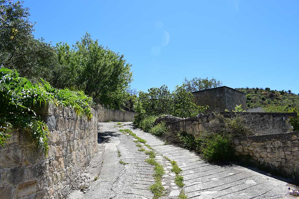 trozena_12