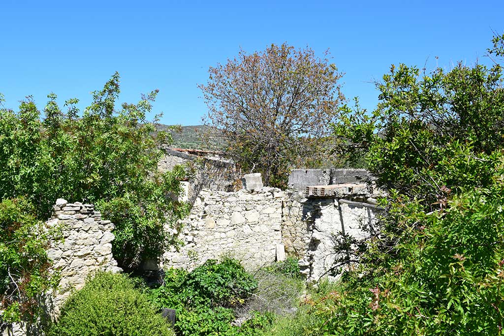 Trozena 21 trozena_21