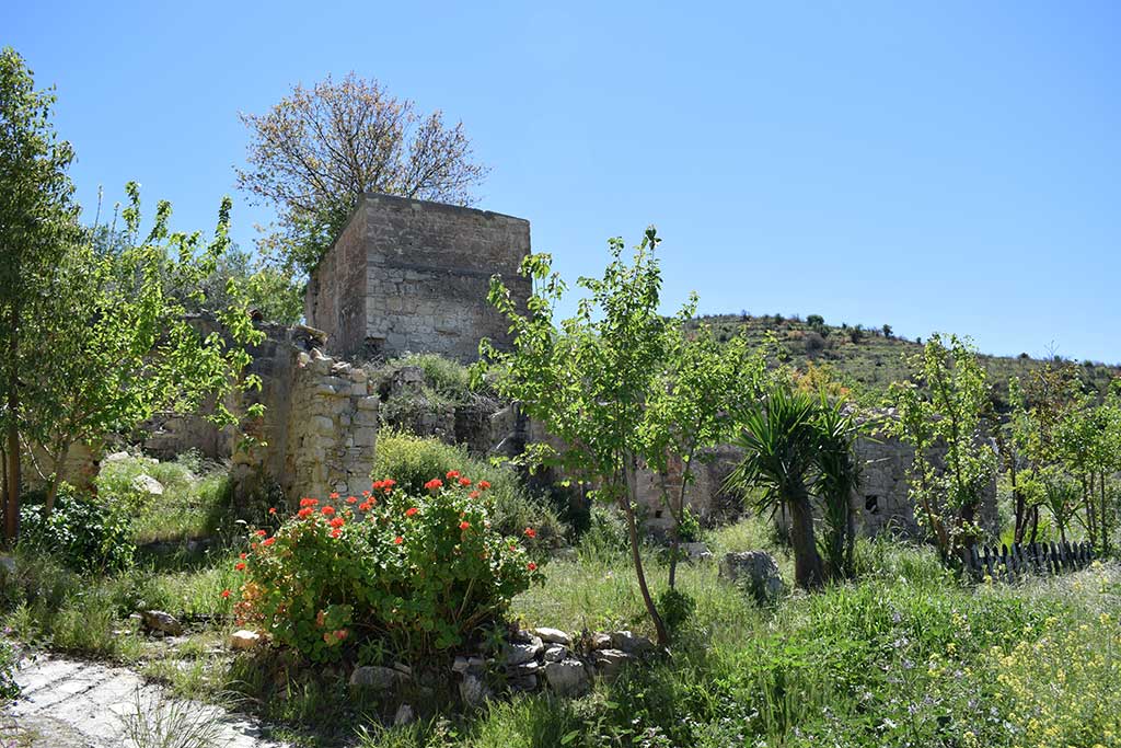 Trozena 22 trozena_22