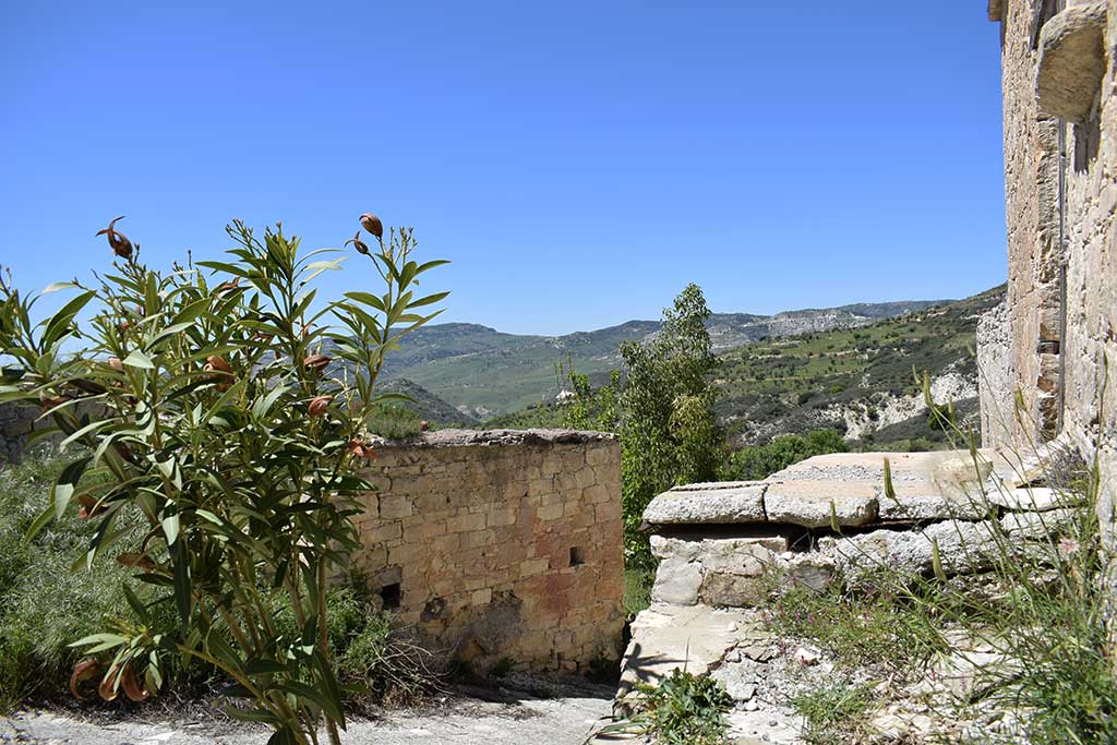 Trozena 24 trozena_24