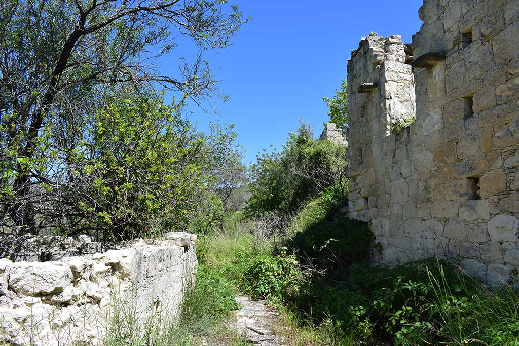 Trozena 29 trozena_29