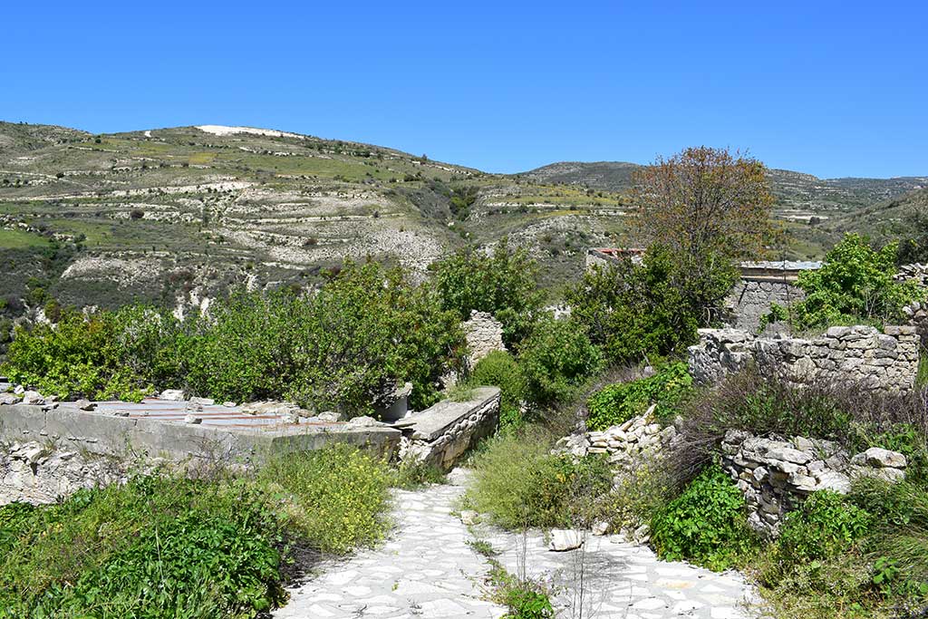 Trozena 30 trozena_30