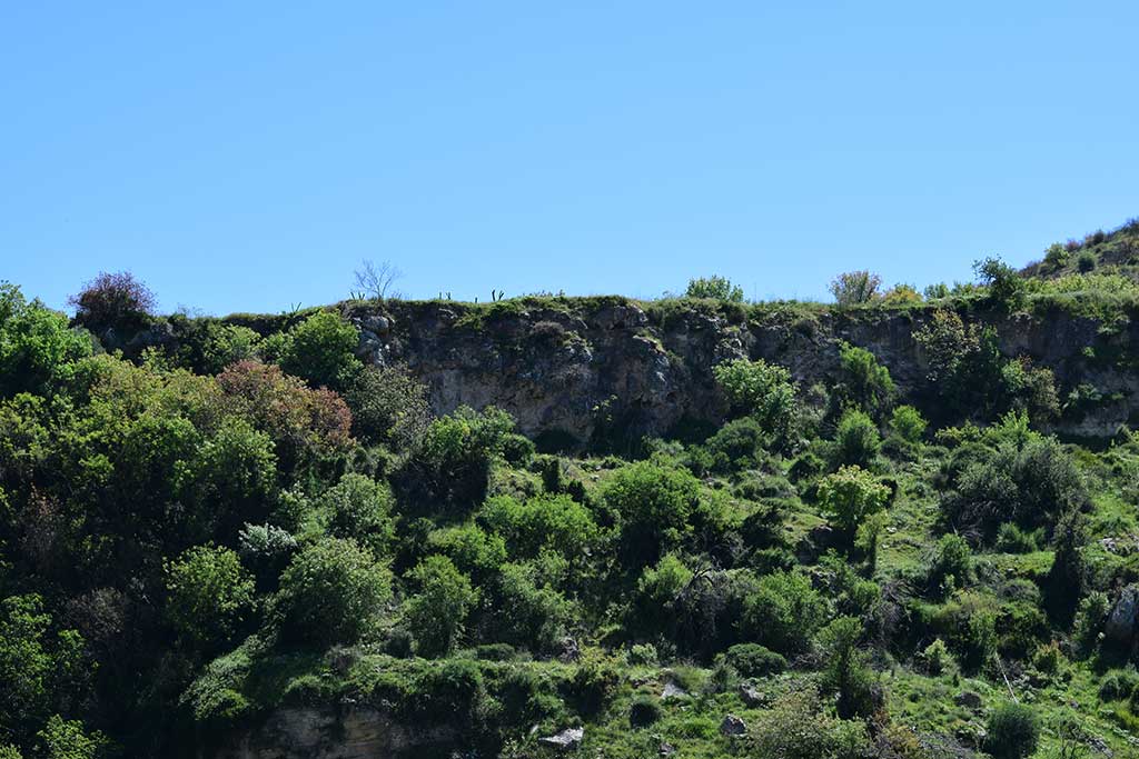 Trozena 34 trozena_34