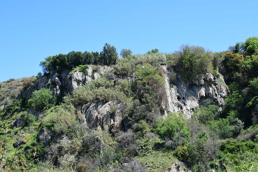 Trozena 35 trozena_35