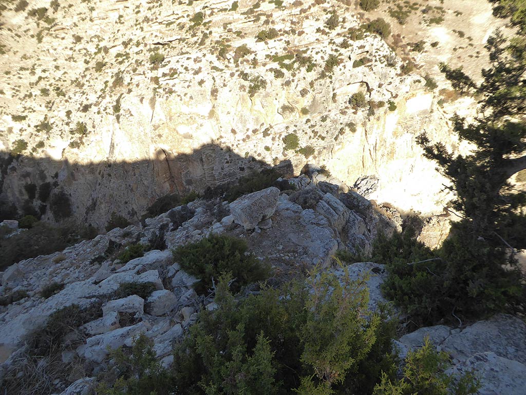 Vertigo 20 vertigo_20