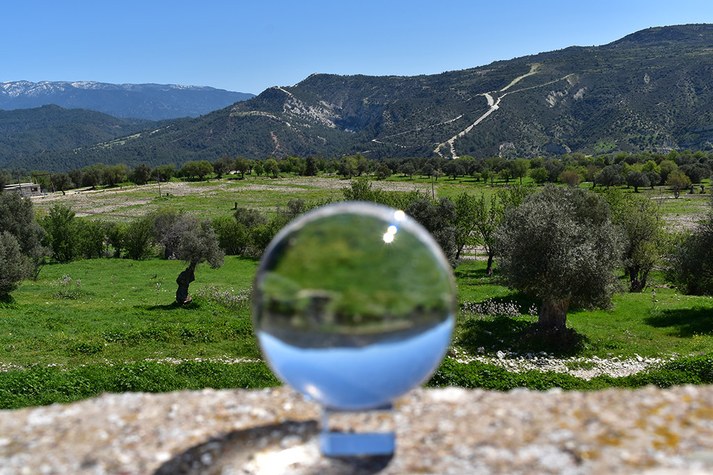 vretsia-donkey-capers_11