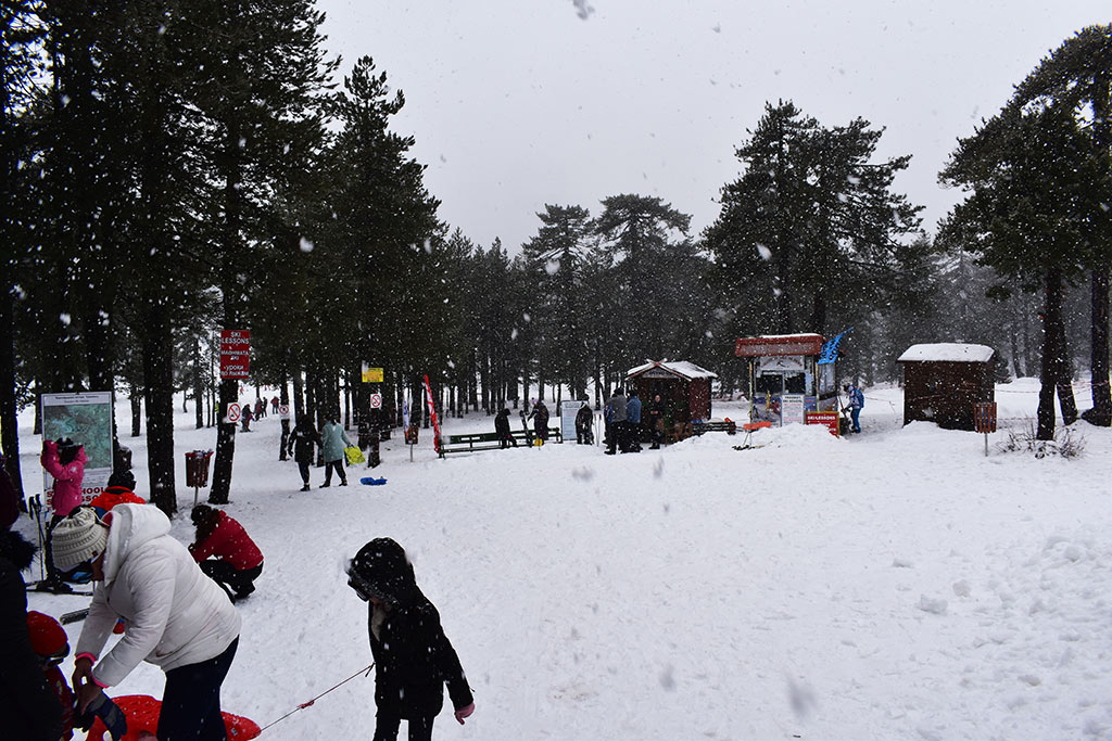 Winter-wonderland-2019 02 winter-wonderland-2019_02