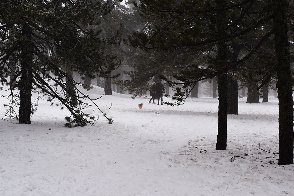 Winter-wonderland-2019 04 winter-wonderland-2019_04