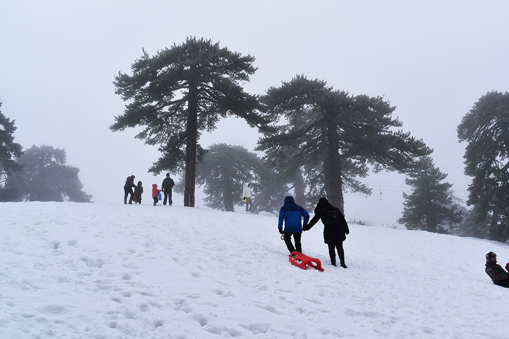 Winter-wonderland-2019 11 winter-wonderland-2019_11