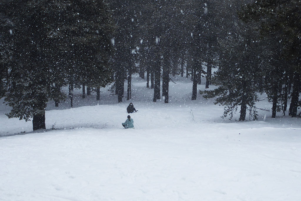 Winter-wonderland-2019 14 winter-wonderland-2019_14