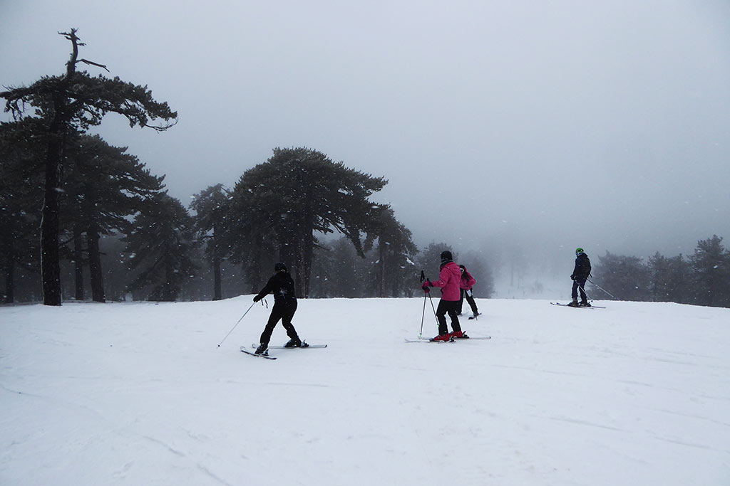 winter-wonderland-2019_16