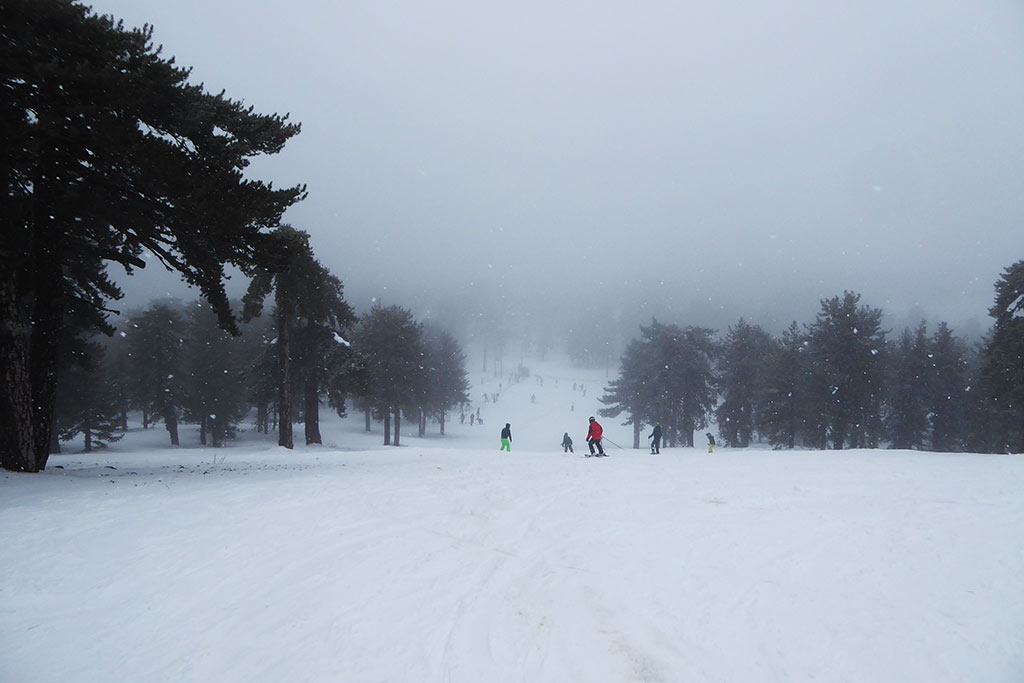 winter-wonderland-2019_18
