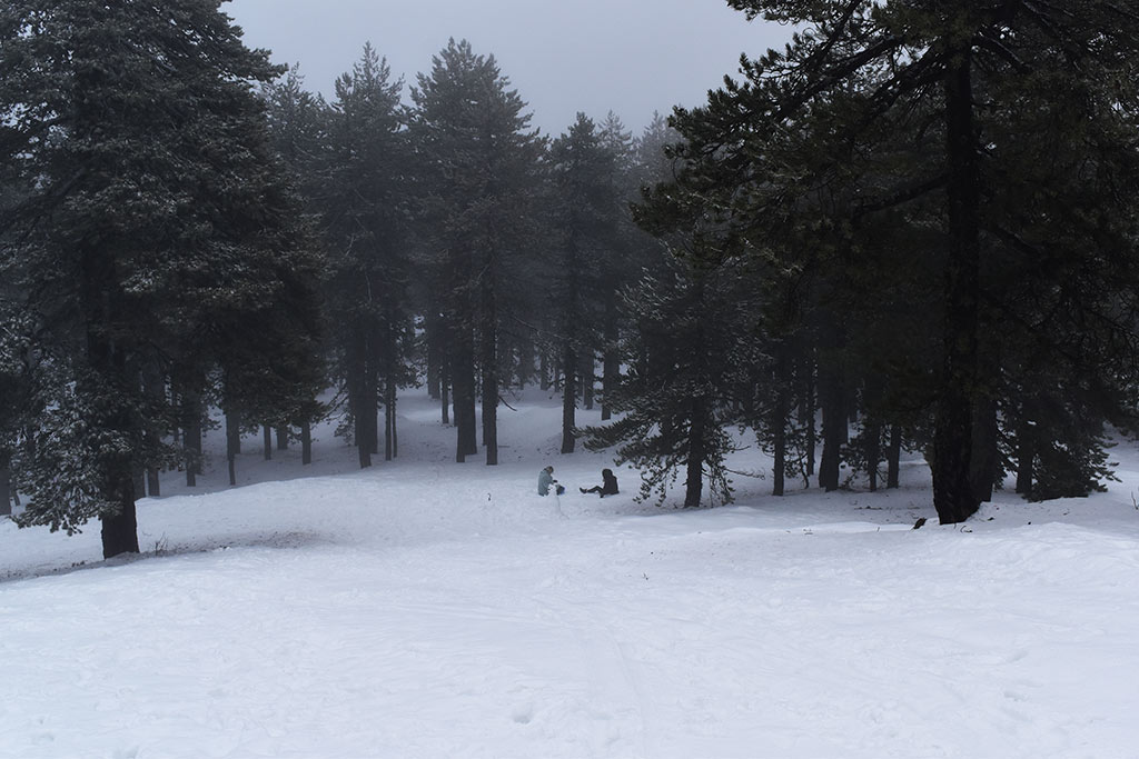 winter-wonderland-2019_19