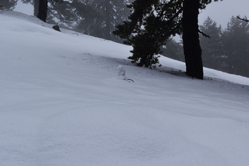 Winter-wonderland-2019 21 winter-wonderland-2019_21