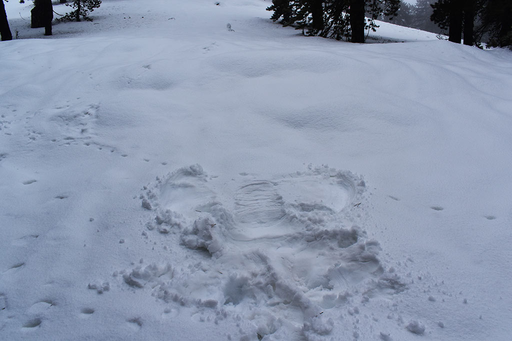 Winter-wonderland-2019 22 winter-wonderland-2019_22
