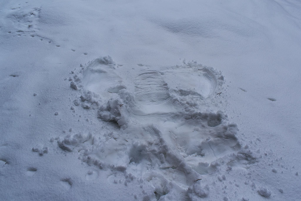 Winter-wonderland-2019 23 winter-wonderland-2019_23