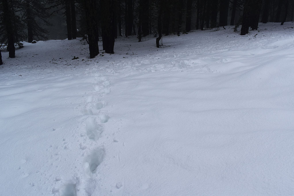 Winter-wonderland-2019 24 winter-wonderland-2019_24