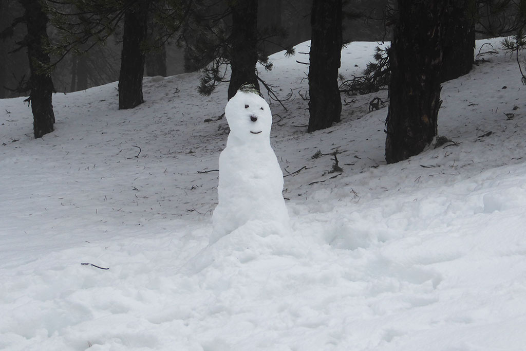 Winter-wonderland-2019 25 winter-wonderland-2019_25